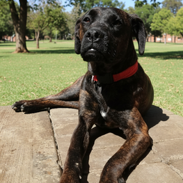 D 5594d55c 8967 44a9 8044 f8da7a993b38