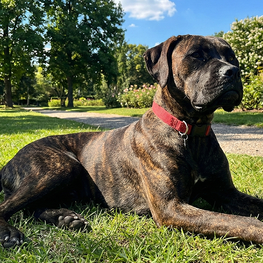 D 76e816b5 cea5 4a30 bfac fbb133832458