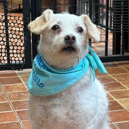 D cabce14a 7204 4182 9a4b 868ebdb22629