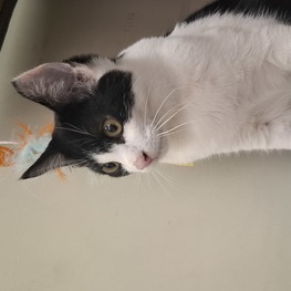 D c4f16ed2 030c 4cf7 b13d 21a0d4e4e61a