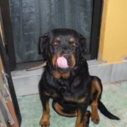 D 667fb511 1bda 4ac4 bb1b 8b2b150da321