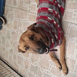 D d2e1f3da 9108 4a08 9b44 ed0deeccfdaf