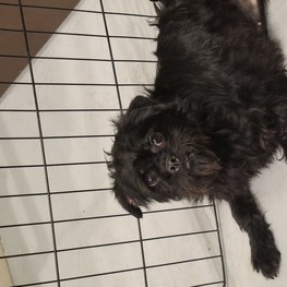 D f247aa81 49e6 48e8 ab15 7a5dd3f0b94a