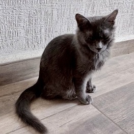 D 54d41107 e2c8 4fd5 9620 f671327d761f