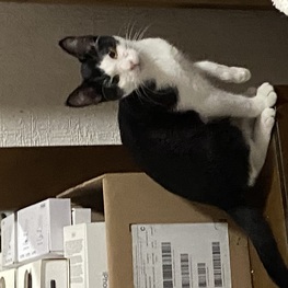 D eed6752b 7a17 426a 9f03 bbaaa5f49350