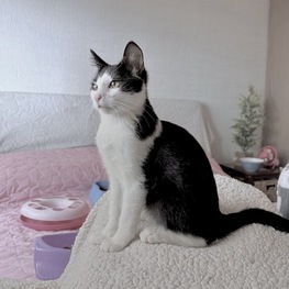 D 2dfe85e6 fdde 4514 9345 e124d5309700