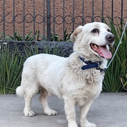 D 991128ff af56 410f 936e 020ae8dfb44d