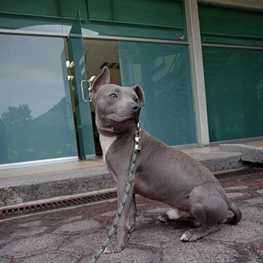 D b2b094c9 5f56 425d a6a4 10f3f597e71c