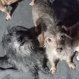 D 1108b7b2 64d8 47d6 a097 b0120aed96e5