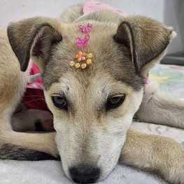 D 20d96ea3 bff2 4f37 b4aa d6bc4371bfe5