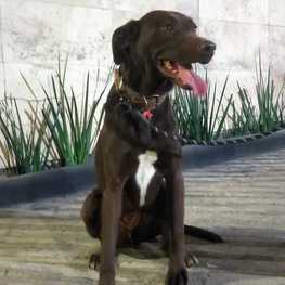 D 105845af 1522 4777 b033 86e116f60615