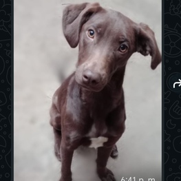 D 1395864f 313b 4b5c 9366 58bc8d9e509e