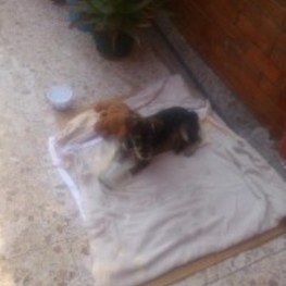 D a92f3659 cda6 4712 9839 f441898a33e4