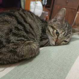 D 663e1e3e ab98 4aef 81f1 6b4bfa913c52