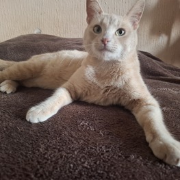 D 5345fdbc bddc 4638 b3d6 451b41dde4f7