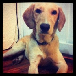 D f4807a16 b38b 483a 82e1 9d2f63b447c3