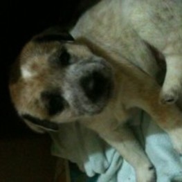 D 637ea61b 9cc2 4548 9144 cad4b77503b0