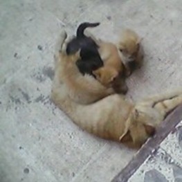 D ac543d7c 8e3a 4ac5 ae0b a6b59587c027