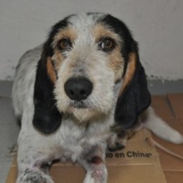 D eb11409d 105c 4f9a a5f1 aa76de6af03e