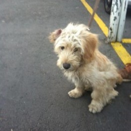 D a4837571 b08f 4e49 988e bd269205f8de