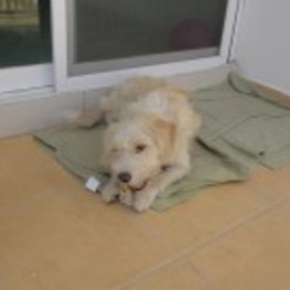 D ac136209 4776 4418 aedd a3f25e9b4842