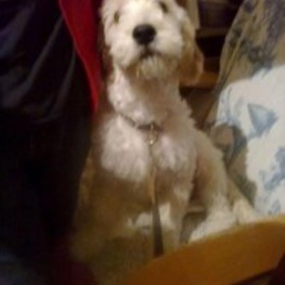 D cbba685a 5e67 4a1f a19f 590207fff041