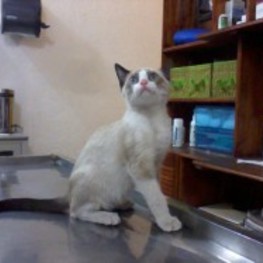 D 1c8aa572 034d 4c9a a7fa 8c742725cf04