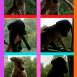 D a8e00b0c a2e7 4759 a420 5fd8b851509a