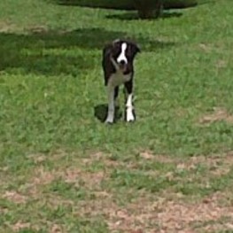 D 81e35902 1479 4889 938d 30ac5f532e60