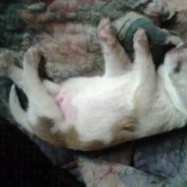 D 8810bca7 6610 4560 b55e 2927cdfbda43