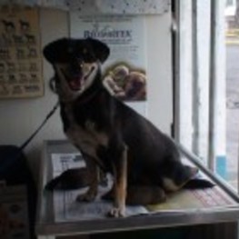 D 445cf69f 14c6 4d2d bf85 4ce5ab237c28