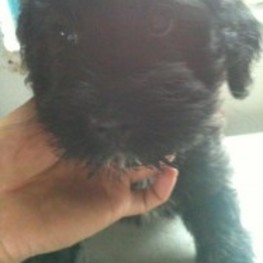 D 1a99d51f 6d88 4770 ad69 52192acfcd50