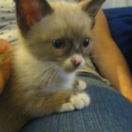 D 525eb309 1268 493f 8164 e43c12ca8fce