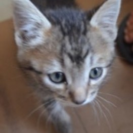 D 30508afb fca7 41a4 a110 f3a17fe9e947