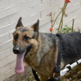 D 2515036d 906b 4019 82de a0ccdb64f747