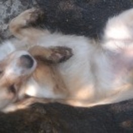 D ed4d6fcd 3bea 4b7a 8bb7 8bfee9e16ace