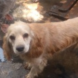 D 40ecbe56 25c1 422f a7b1 b2f948369976