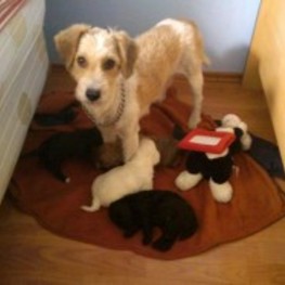 D b6fee817 df7e 46fc b59f 64efec359559