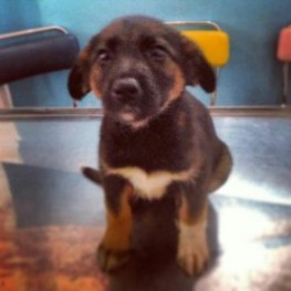 D eadd67cb 37c5 4e6e 8225 401eca6fd744