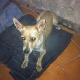 D 15f57cc8 c717 49d9 bb54 428dd73cc3f2