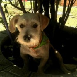 D 5aabc9e4 7735 4fe2 8ba7 34ac7d99dd58