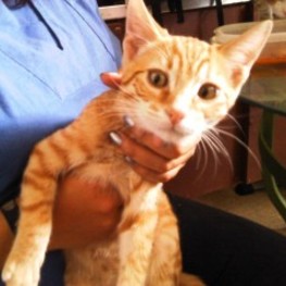 D edc3d0bd 1d4b 4390 8174 8e7b07a22117