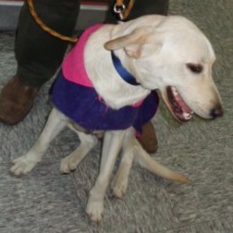 D ca5cda84 f88d 4499 8c95 b0ba9ff5b47e