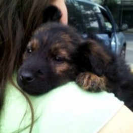 D eed93d5c ff6c 4cf4 a873 c5de338be0ca