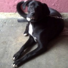 D dc41af93 d85f 4700 a663 d3d47348622f