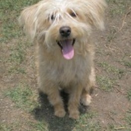 D 28b25cd3 98e6 4239 bd07 e8280af533c7