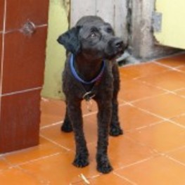 D 80a5365e 9b5a 4d8f baca 1ddebf6d7545