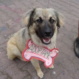 D c13482f7 d19d 4ccd ae2d 937d1ca103db