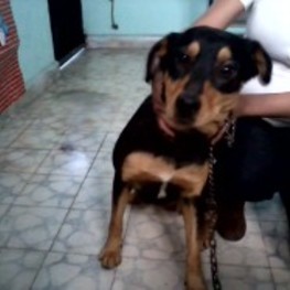 D 5476b2fa 2f3d 4530 bdb8 a9637f0542fa