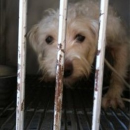 D d333580a 1146 4ba9 81a2 9b0c91bbfae2